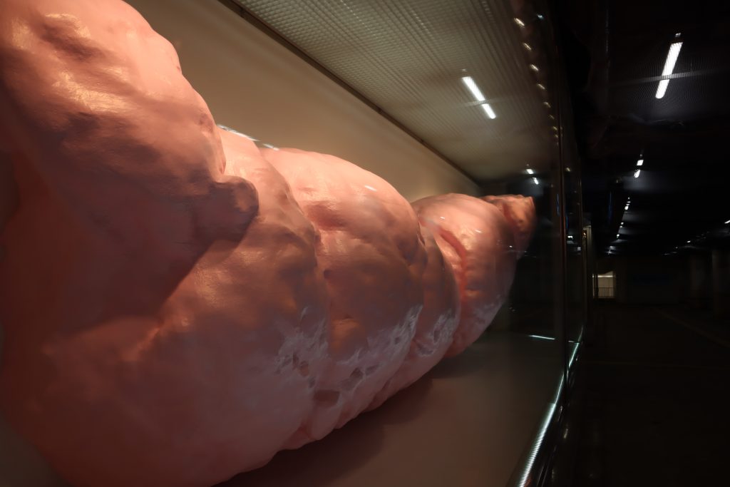 製作協力　広島市在住の作家　”トう”さんの作品展示　期間：1月22日～5月22日